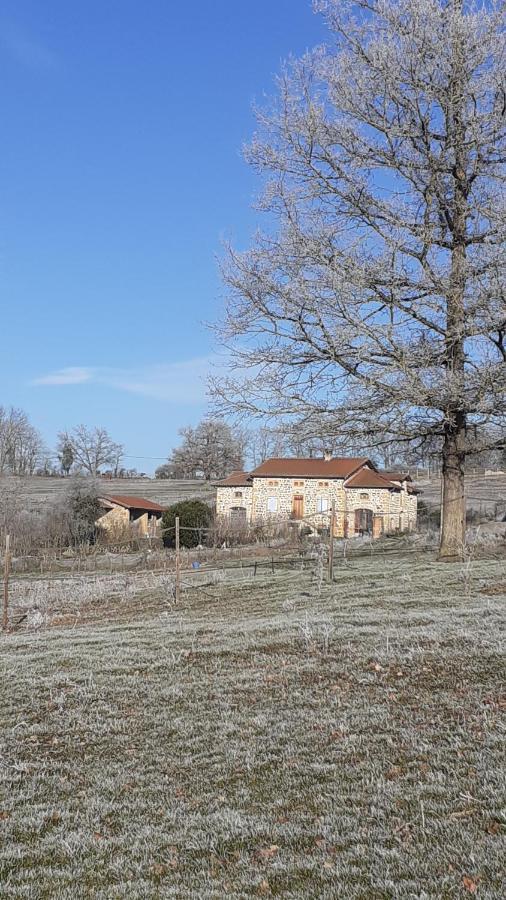 Domaine De La Poyat Bed & Breakfast Legny Exterior photo