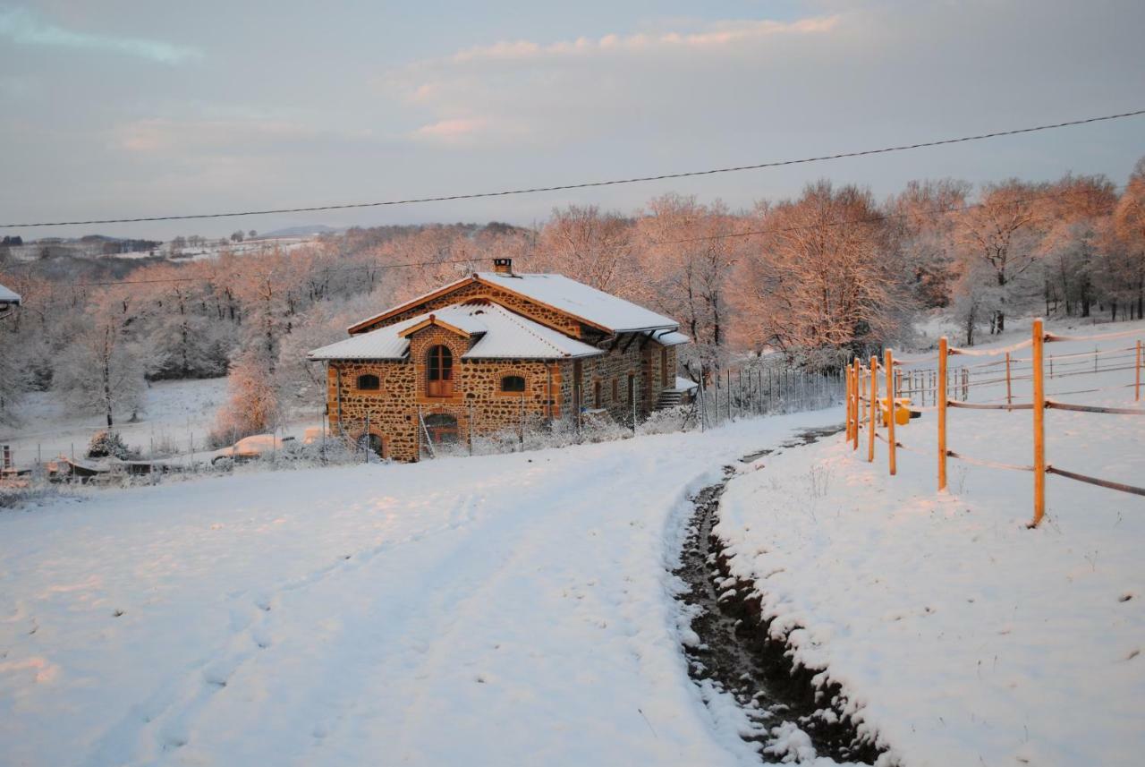 Domaine De La Poyat Bed & Breakfast Legny Exterior photo